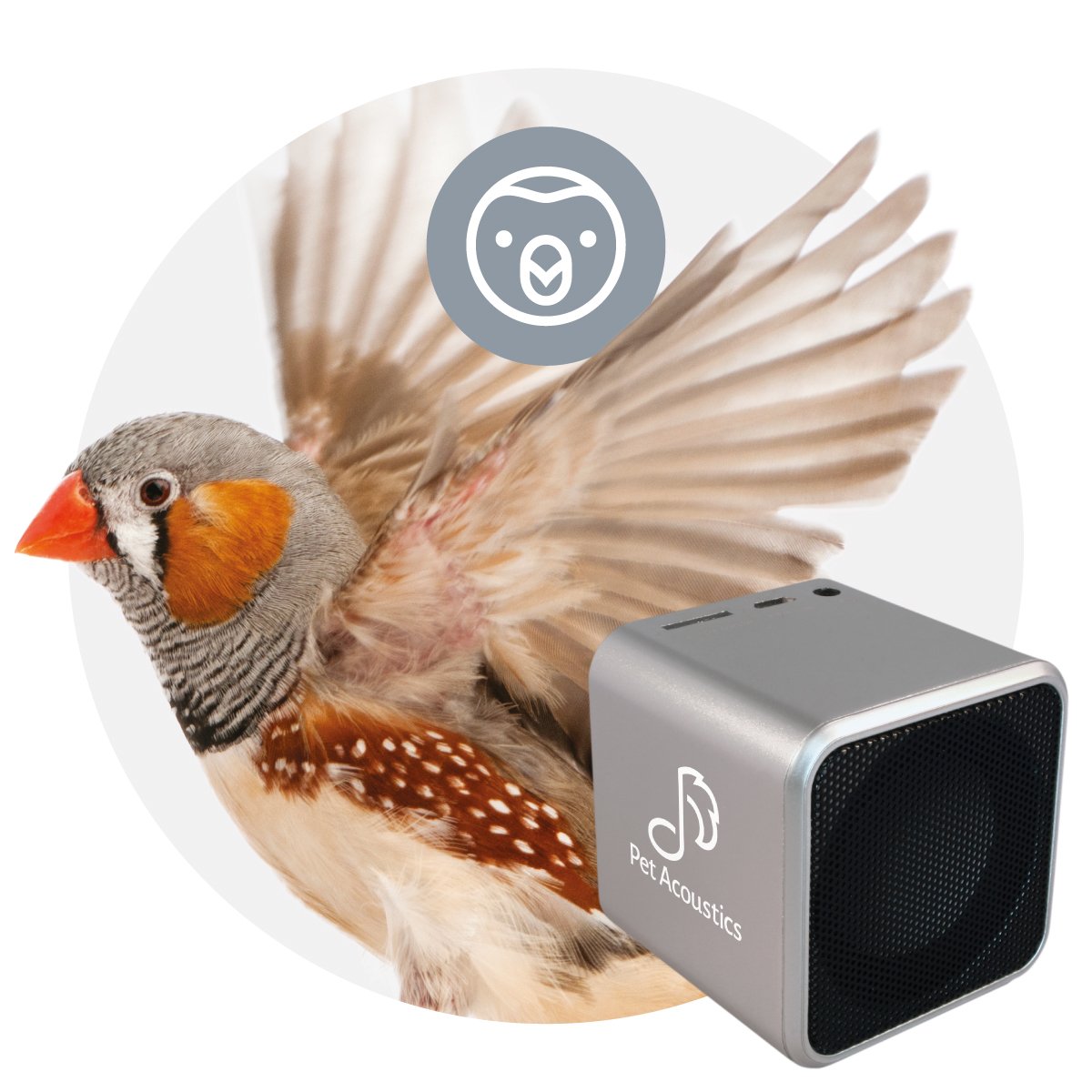Pet Tunes Bluetooth Speaker with Preloaded Calming Music for Dogs & Cats - Reduce Anxiety & Stress During Vet Visits, Separation, Storms or Fireworks