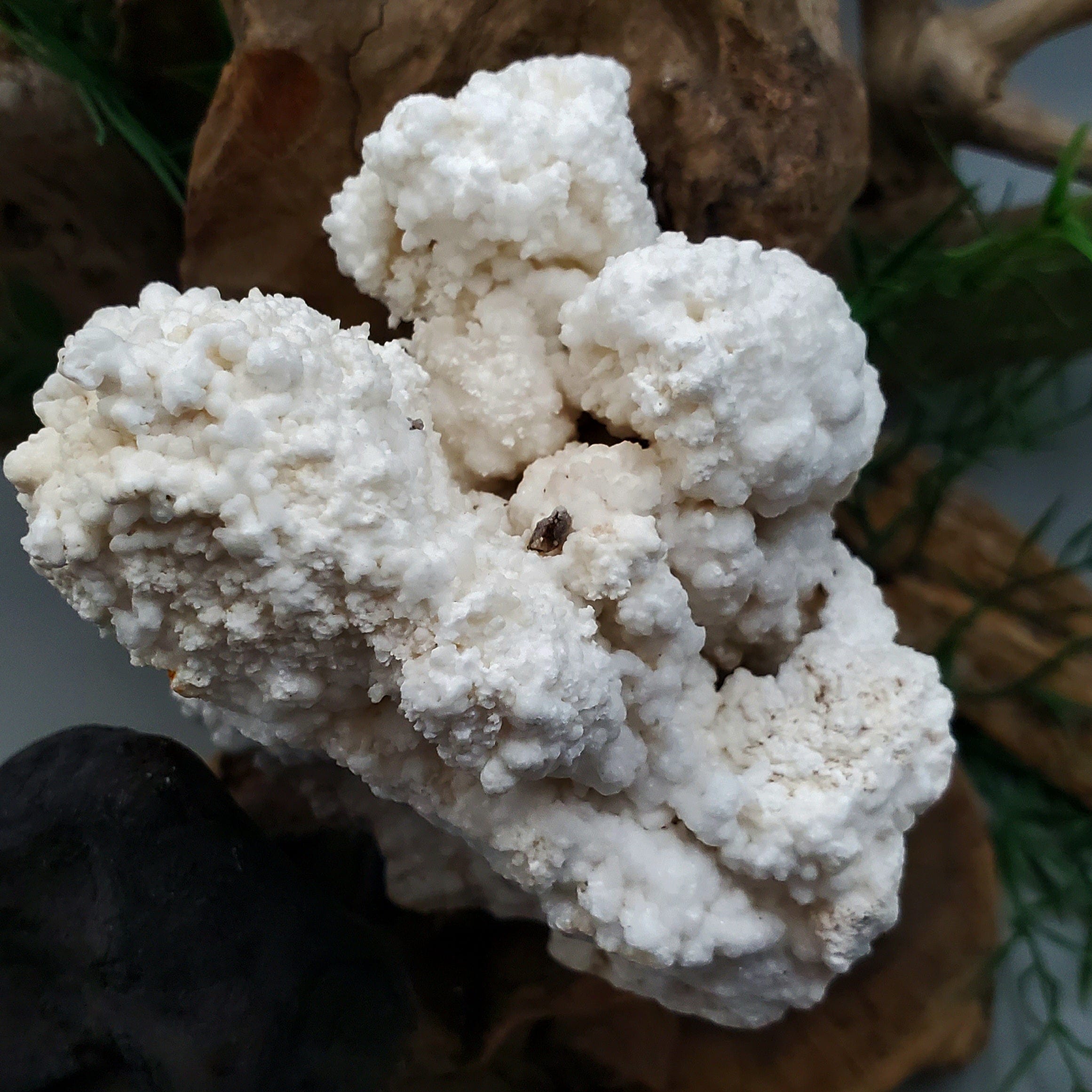 Natural Aragonite Crystal Specimen - Mineral Collection for Home Decor, Healing Crystals & Geology Study - Perfect for Display Cases, Meditation Spaces & Science Classrooms