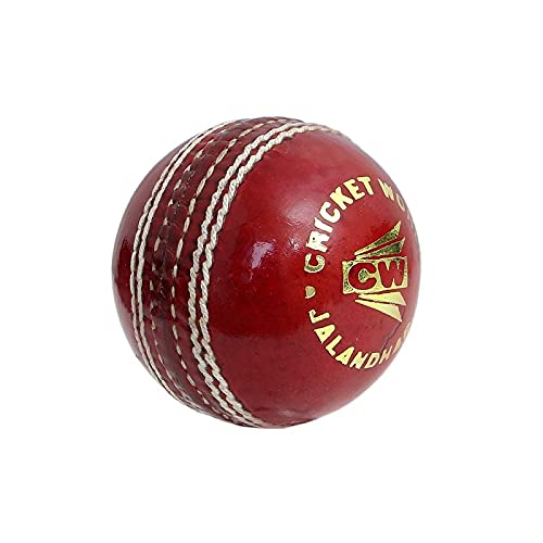 **CW Academy Cricket Training Set for Kids Ages 5-7 - Complete Cricket Kit with Bat, Ball, Stumps & Accessories - Perfect for Backyard Practice, School Sports & Junior Leagues**