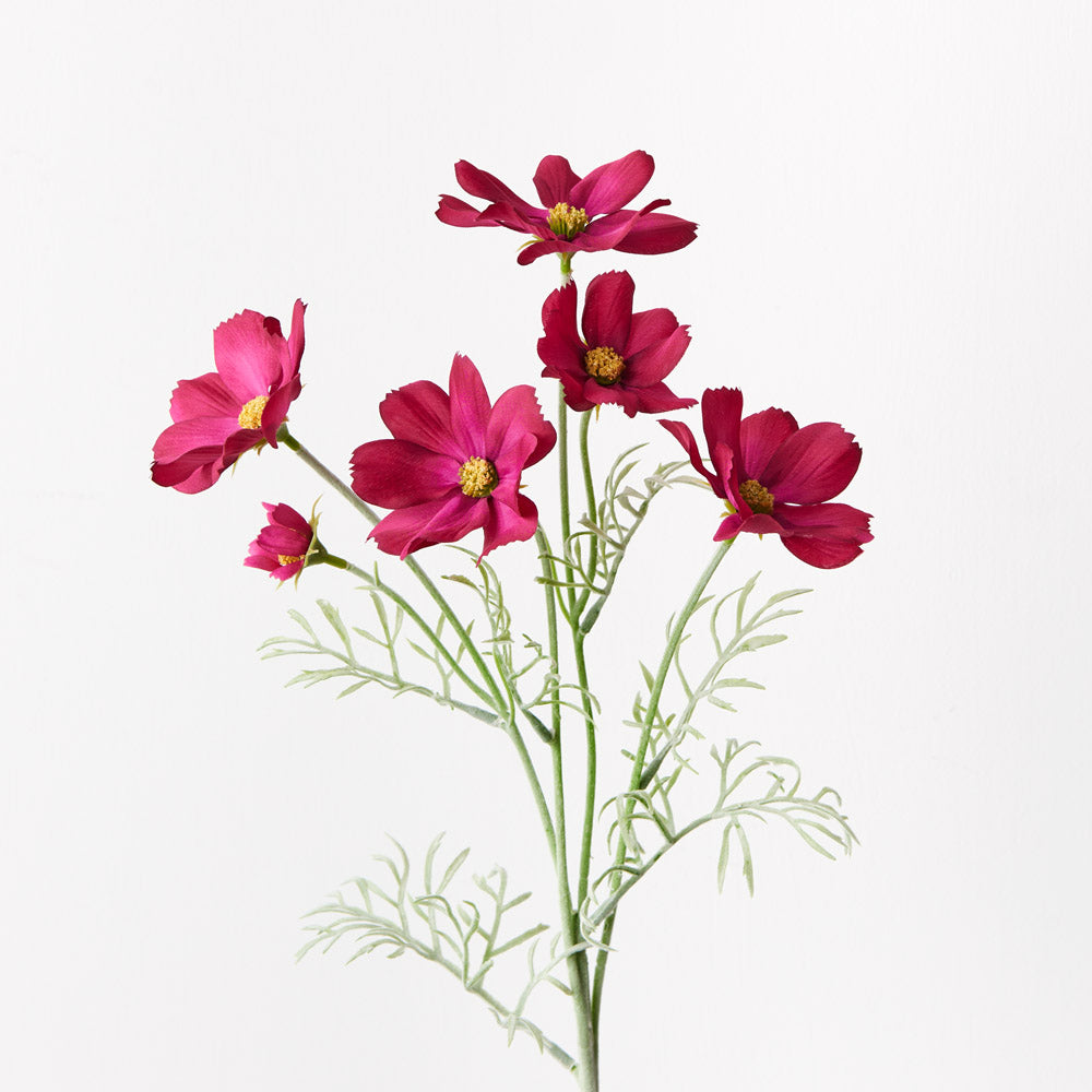 Cosmos Burgundy Red Wine - Premium Quality for Gifting, Celebrations & Fine Dining | Perfect for Anniversaries, Weddings & Romantic Dinners
