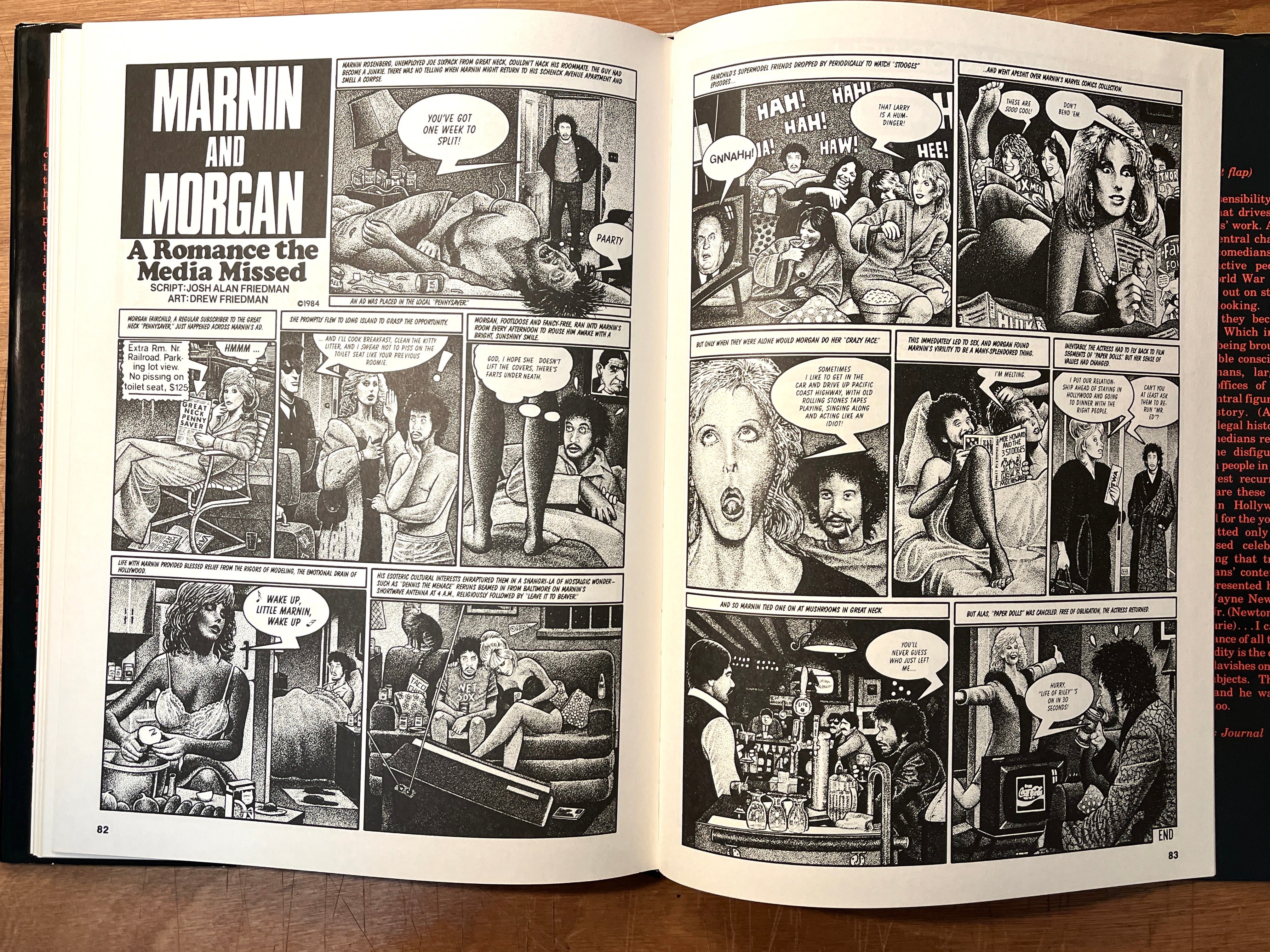 Any Similarity to Persons Living or Dead Book by Drew & Josh Alan Friedman - Fine with NF DJ - Perfect for Collectors and Fans of Satirical Literature