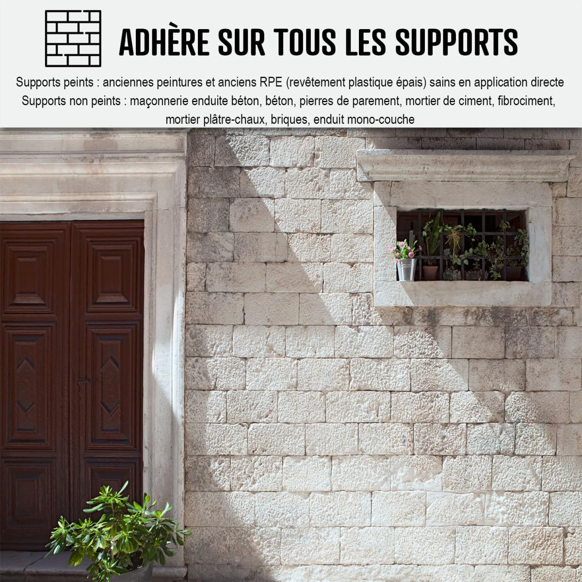 Pliolite Paint - ARCAFAÇADE PLIOPROTECT - 2.5L (Covers ~20 m² per Coat) White - ARCANE INDUSTRIES - Exterior Wall Protection for Homes & Commercial Buildings