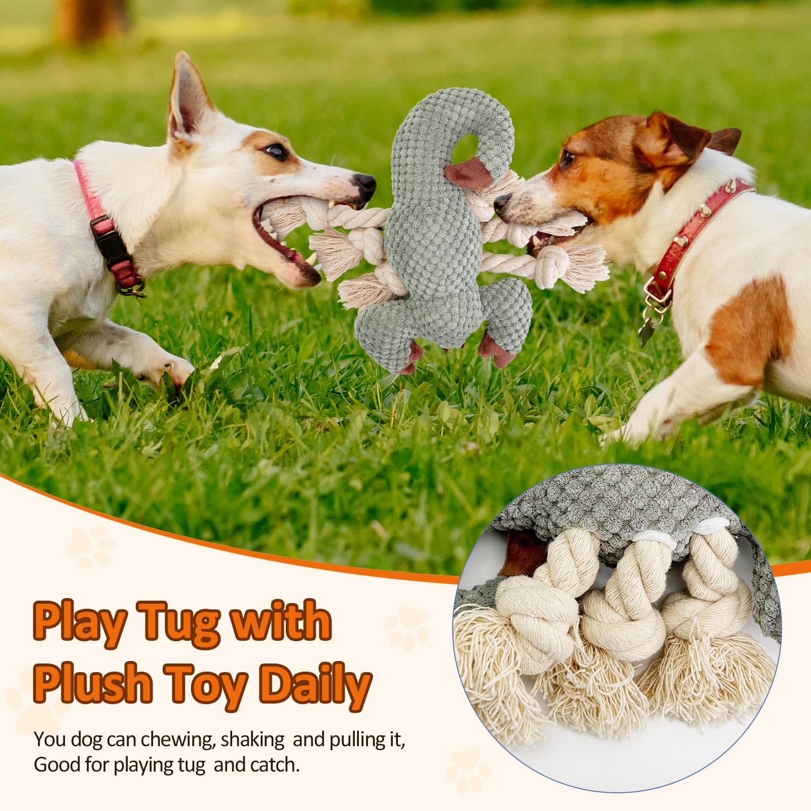 Squeaky Dog Toys for Small, Medium & Large Dogs - Interactive Scorpion Chew Toy to Keep Pets Busy & Entertained | Perfect for Playtime, Training & Teething Relief
