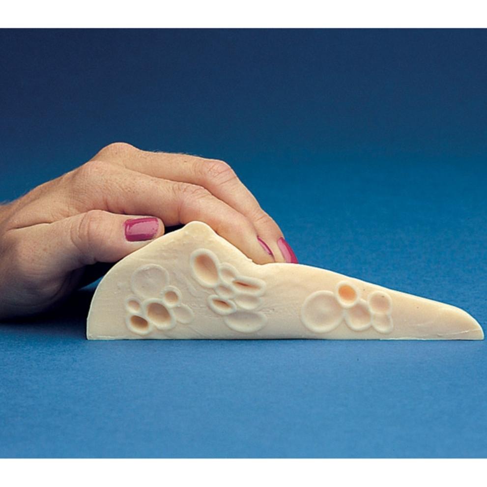 Fibrocystic Breast Self-Exam (BSE) Model - Realistic Training Tool for Medical Students & Nursing Education | Practice Breast Cancer Detection at Home or Clinic