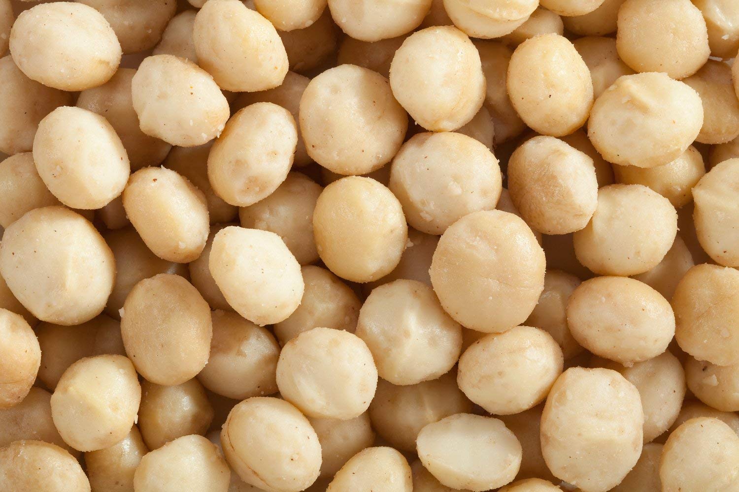 Roasted & Salted Macadamia Nuts - Raw, Natural, Non-GMO, Gluten-Free, Healthy Fats - Perfect for Snacking, Emergency Food Supply & Survival Kits - 8oz Half-Pound Bag