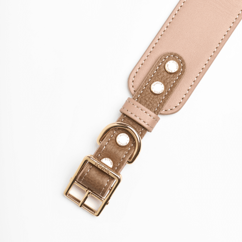 Premium Blushwood Leather Dog Collar – Adjustable, Durable & Stylish Pet Collar for Small, Medium & Large Dogs – Perfect for Daily Walks, Training & Outdoor Adventures