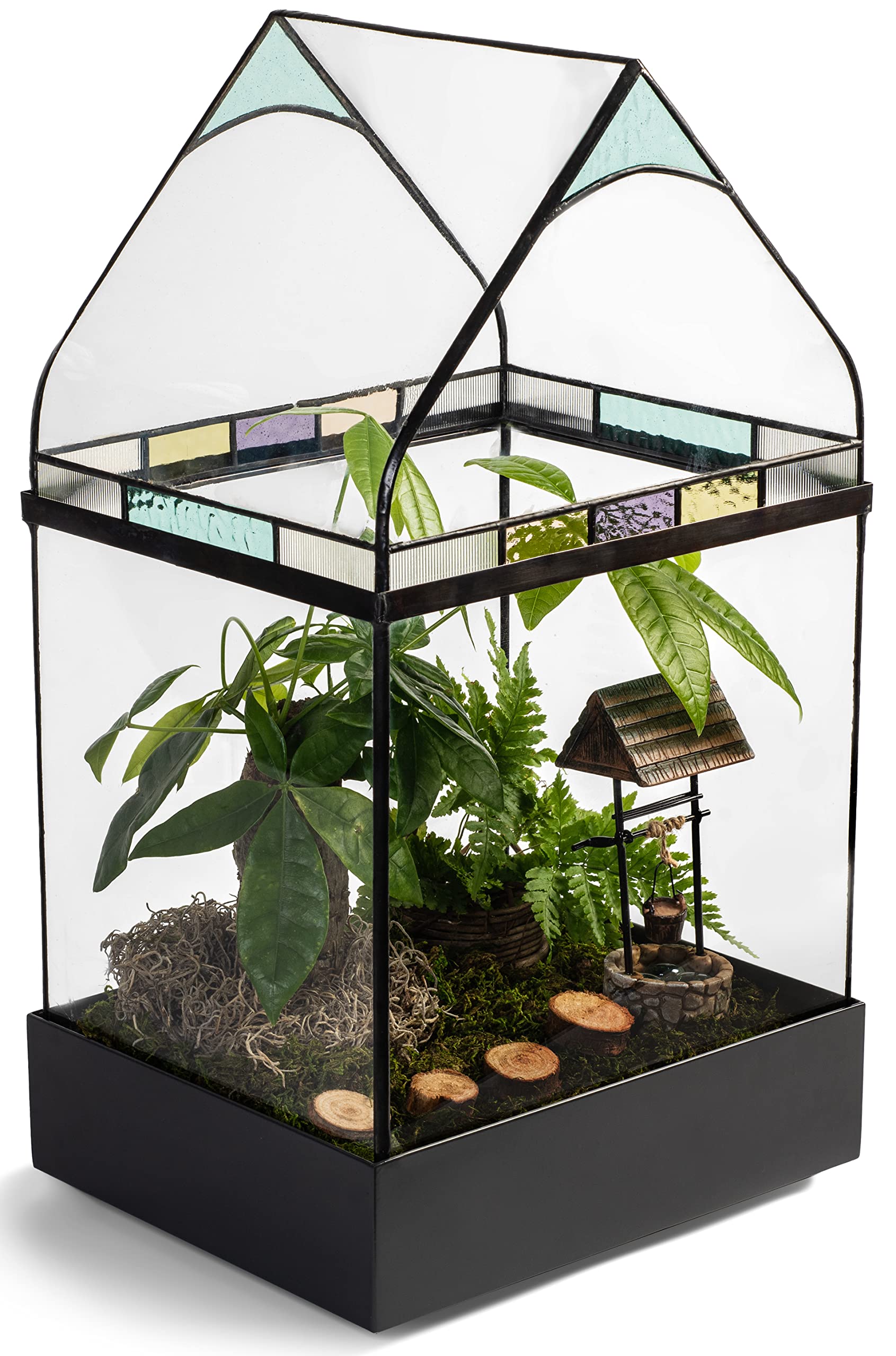 H Potter Large Glass Terrarium Wardian Case - Perfect for Indoor Plants, Succulents & Home Decor