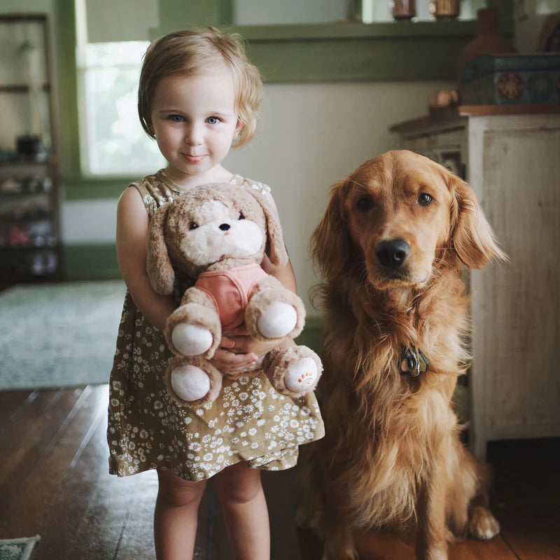 Dinkum Dog Honey - 100% Pure Natural Honey for Dogs - Supports Immune System & Digestion - Perfect for Dog Treats, Training Rewards & Daily Wellness