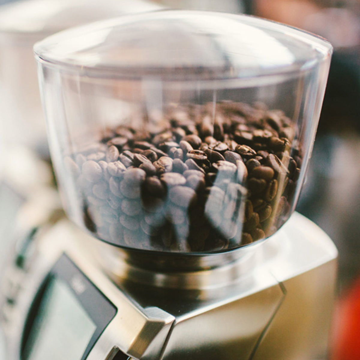 Baratza Forte BG Flat Steel Burr Coffee Grinder 120V - Professional Espresso & Pour Over Coffee Maker for Home & Cafe Use
