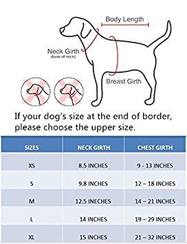 BINGPET Small & Medium Dog Harness - Breathable Mesh No-Pull Adjustable Puppy Vest for Walking, Training, and Outdoor Adventures - Perfect for Chihuahuas, Pugs, and Small Cats