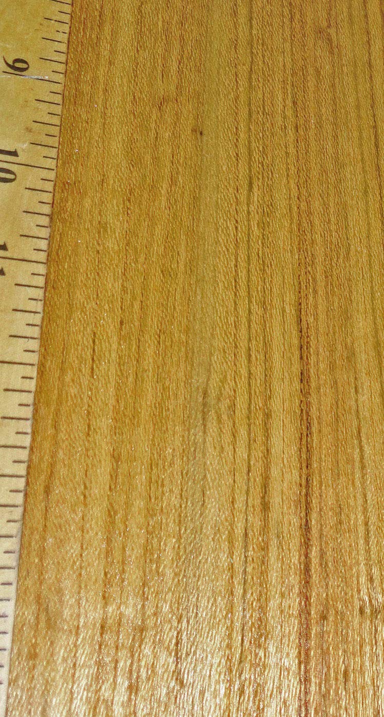 Premium Brazilian Freijo Wood Veneer Roll - 8