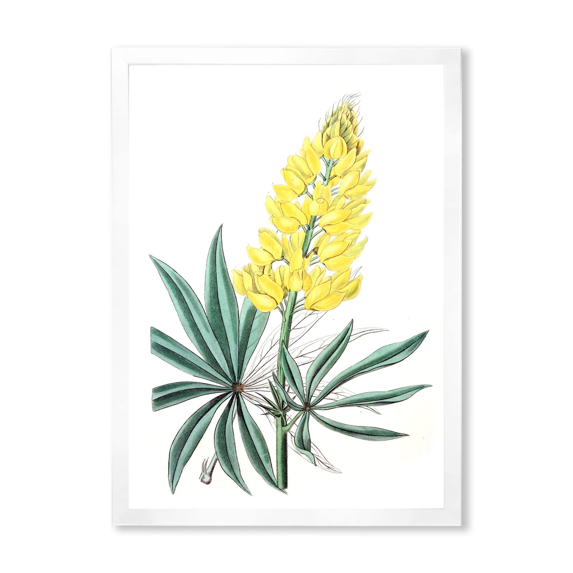 Vintage Yellow Floral Framed Wall Art - Traditional Home Decor for Living Room, Bedroom & Office