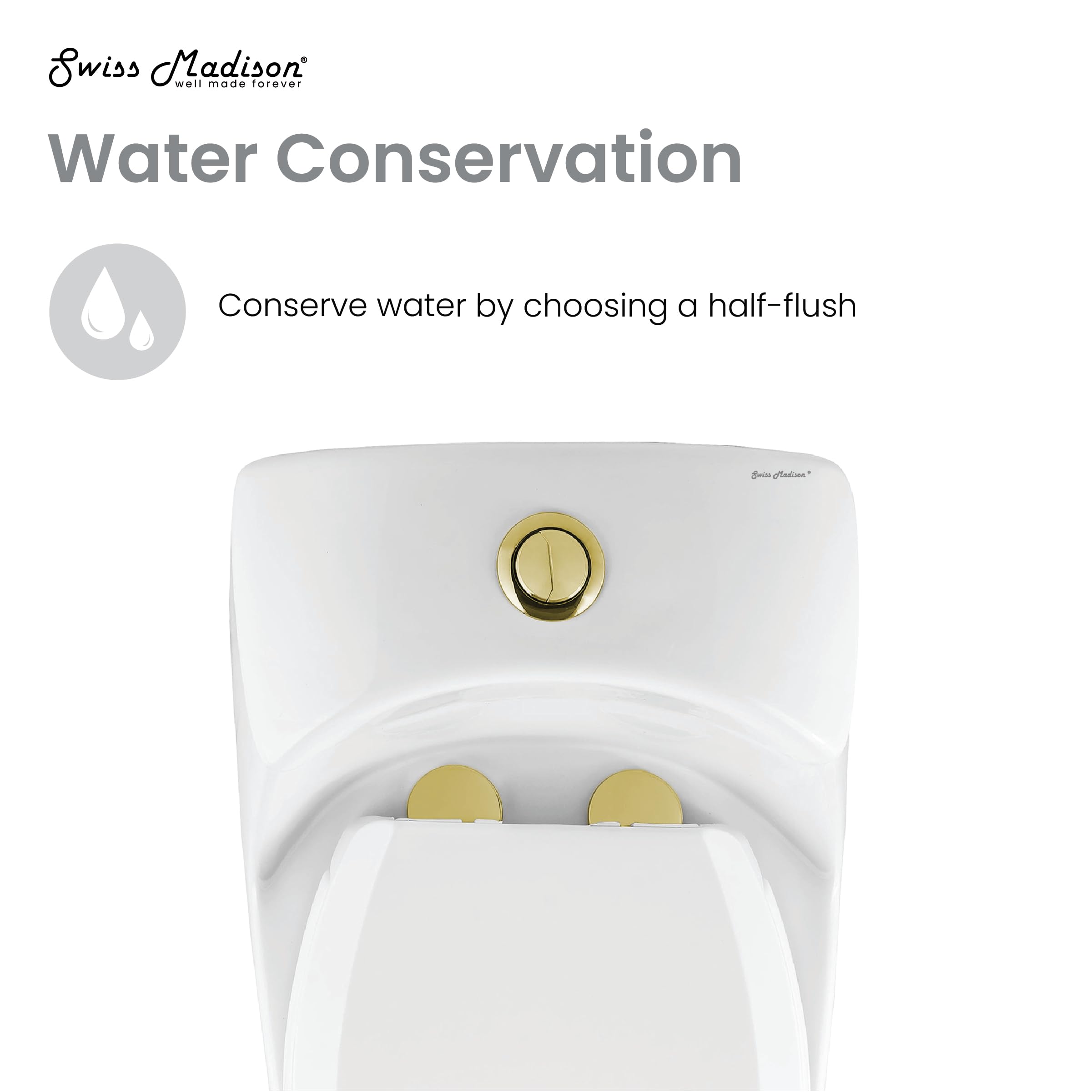 Luxury Chateau One Piece Elongated Toilet with Dual Flush System (1.1/1.6 GPF) & Brushed Gold Hardware - Modern Water-Saving Bathroom Upgrade for Homes & Hotels