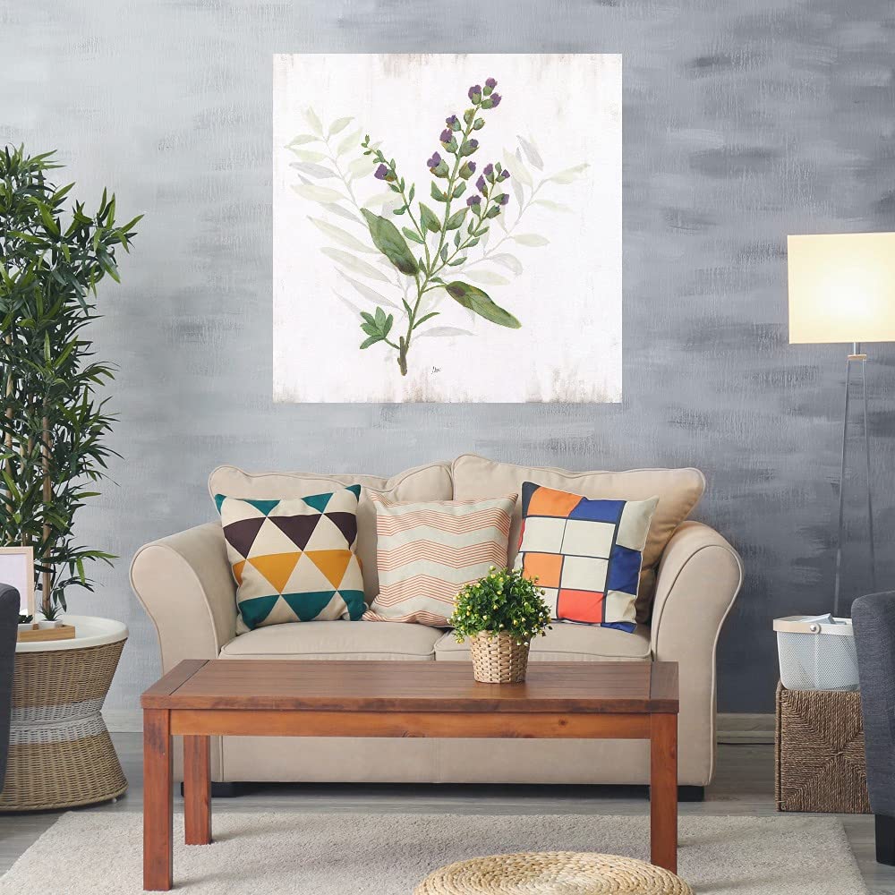 Kitchen Garden II Canvas Wall Art - 32x32 Inch Ready to Hang Fine Art Print by Artist Nan - Perfect for Living Room, Bedroom, Bathroom, Kitchen, Office, Bar & Dining Room Decor - Modern Home & Office Wall Decor