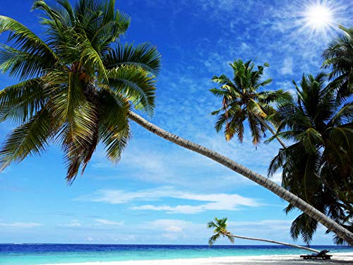 Tropical Trees N102