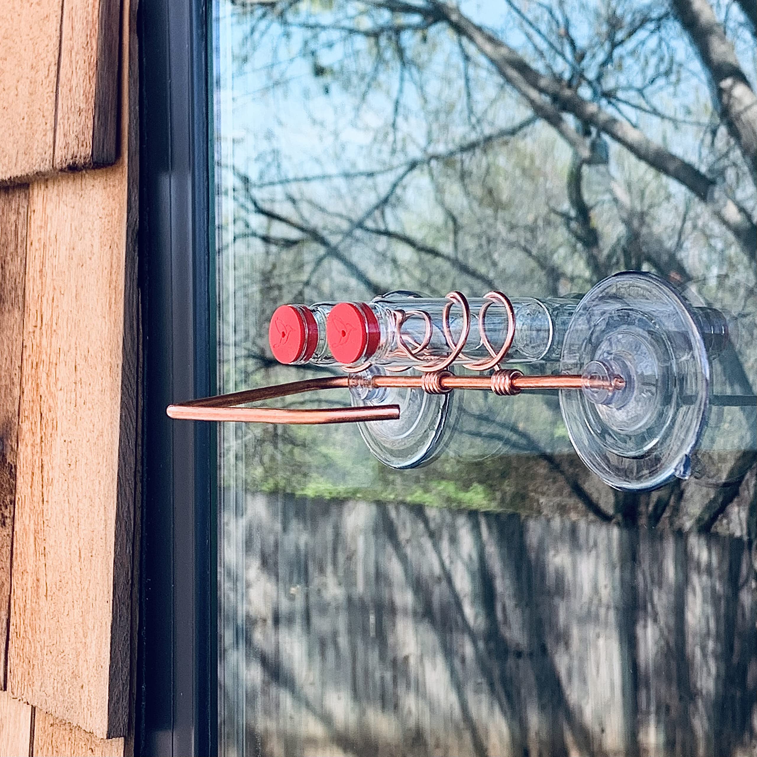 Duo Feeder - Window Hummingbird Feeder with Copper & Aluminum Construction, Multiple Feeding Stations & Glass Bottles | Modern Bird Feeder with Suction Cups (Copper, 2-Station Wide Perch) | Perfect for Backyard Birdwatching & Attracting Hummingbirds to Your Home