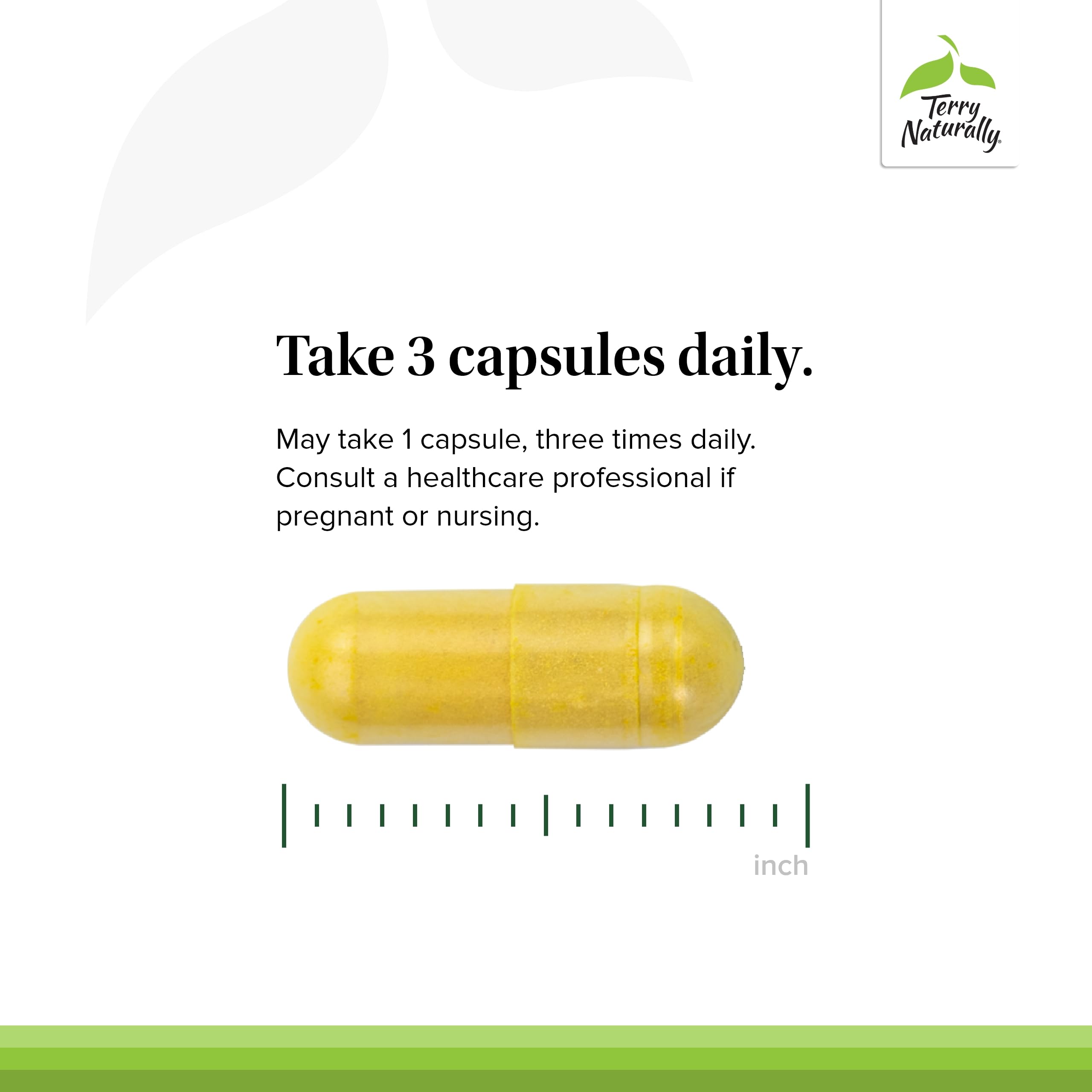 Terry Naturally Curamin - Premium Curcumin Supplement for Circulation & Endorphin Support | Relieves Occasional Discomfort | Promotes Healthy Muscles & Joints | 120 Capsules (2-Pack) | Ideal for Active Lifestyles & Post-Workout Recovery