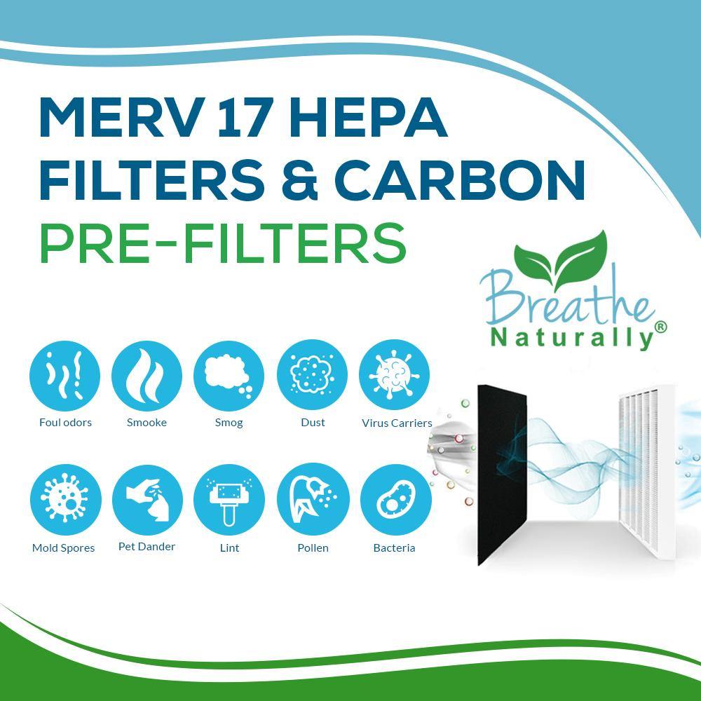Fellowes AP 300PH Replacement HEPA + Carbon Pre Filter Bundle - Compatible with Air Purifiers, Ideal for Home, Office & Allergy Relief
