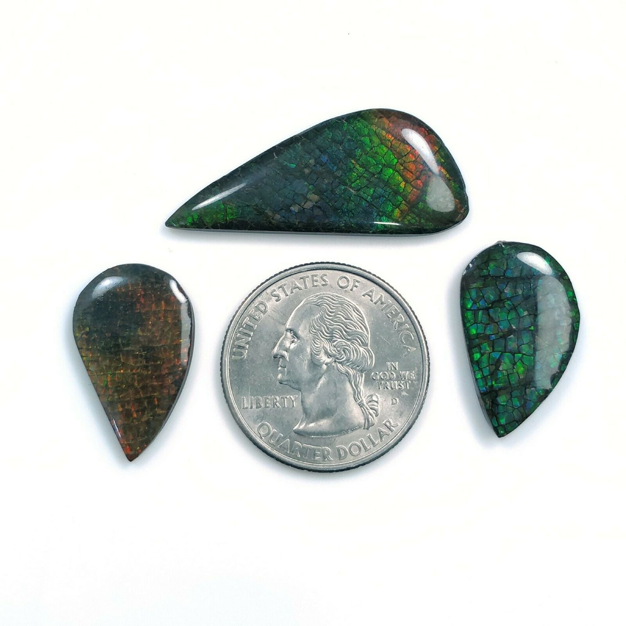 Natural AMMOLITE Gemstone Cabochon - Bi-Color Fossilized Shell Jewelry Making Stone (23x14mm or 36x16mm) for Pendants, Rings & Unique Handmade Jewelry Designs