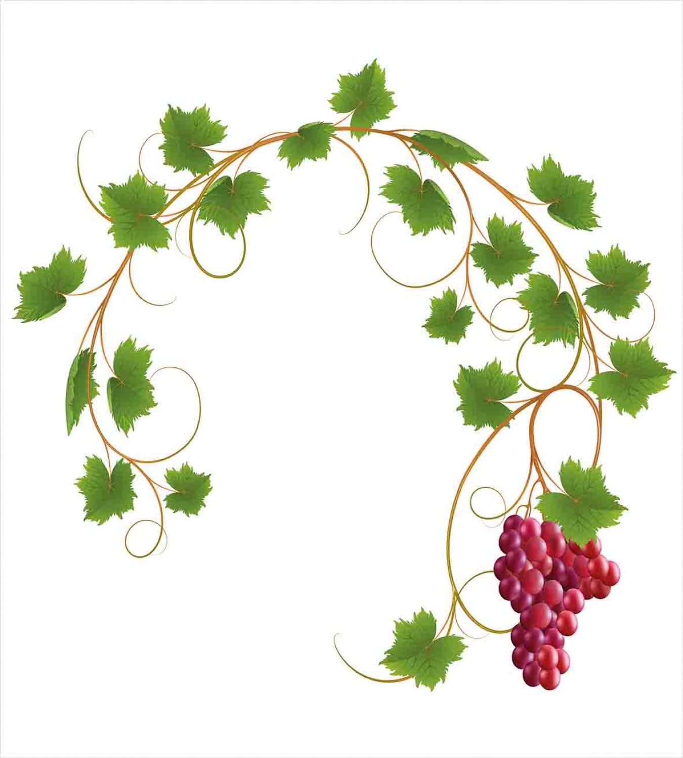 Ambesonne Vineyard Duvet Cover Set - Twin Size 2-Piece with Ivy Branch & Cabernet Wine Cluster Design in Green & Purple | Includes 2 Duvet Covers & 2 Pillowcases | Perfect for Wine Lovers' Bedrooms, Guest Rooms & Vineyard-Themed Decor