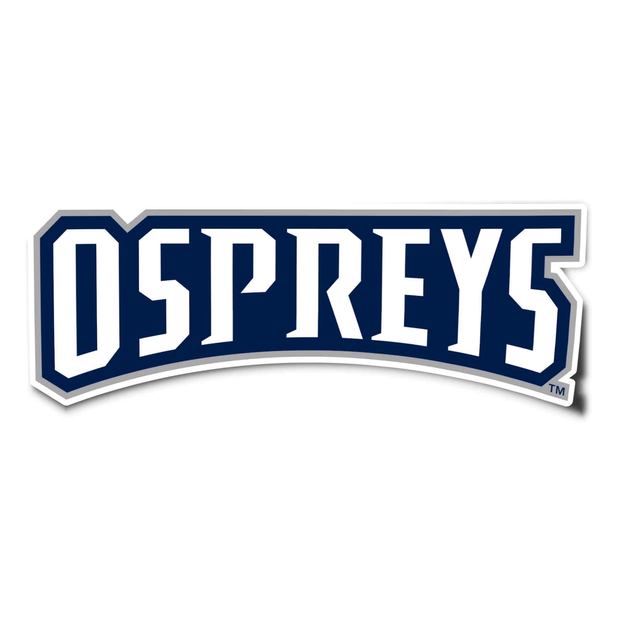 UNF Ospreys Vinyl Decal Sticker - Desert Cactus Design for Laptop, Water Bottle, Car & Scrapbook - University of North Florida College Spirit Decoration - Perfect for Students, Alumni & Fans