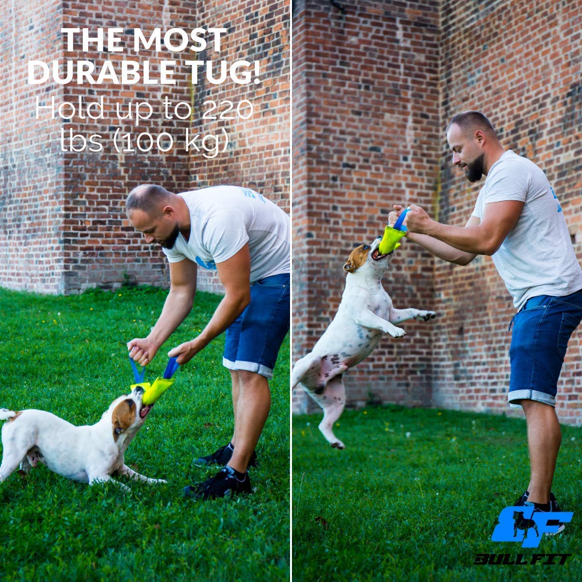 Bull Fit Dog Bite Tug Toy - Durable Chew Toy with 2 Reinforced Handles & Outdoor Bungee Rope - Perfect for Tug-of-War, Training, and Backyard Playtime
