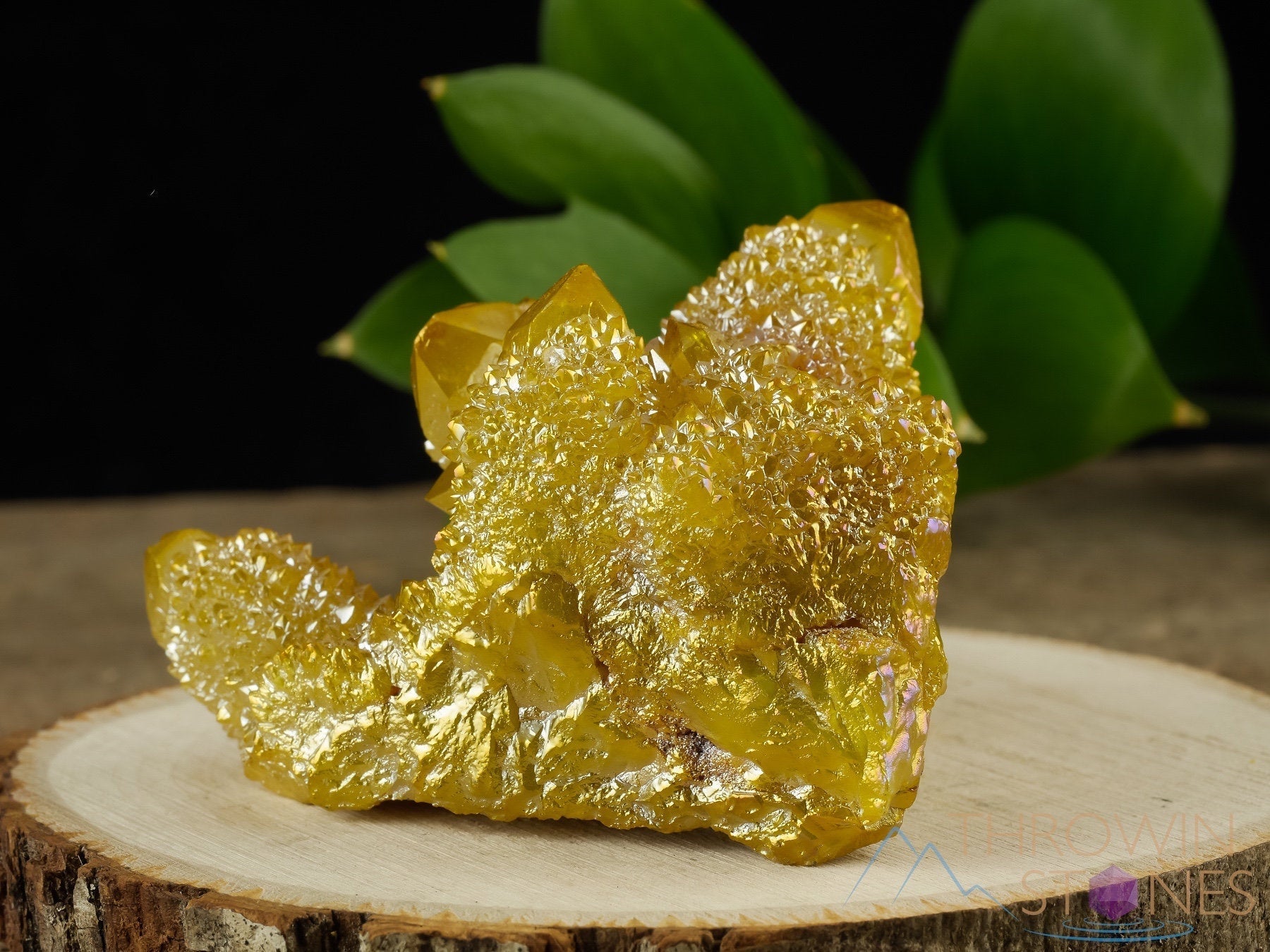 AURA QUARTZ Sunshine Yellow Rainbow Quartz Crystal Cluster - Natural Spirit Quartz for Healing, Meditation & Metaphysical Use - Perfect Crystal Decor for Home, Office & Spiritual Spaces (R0523)