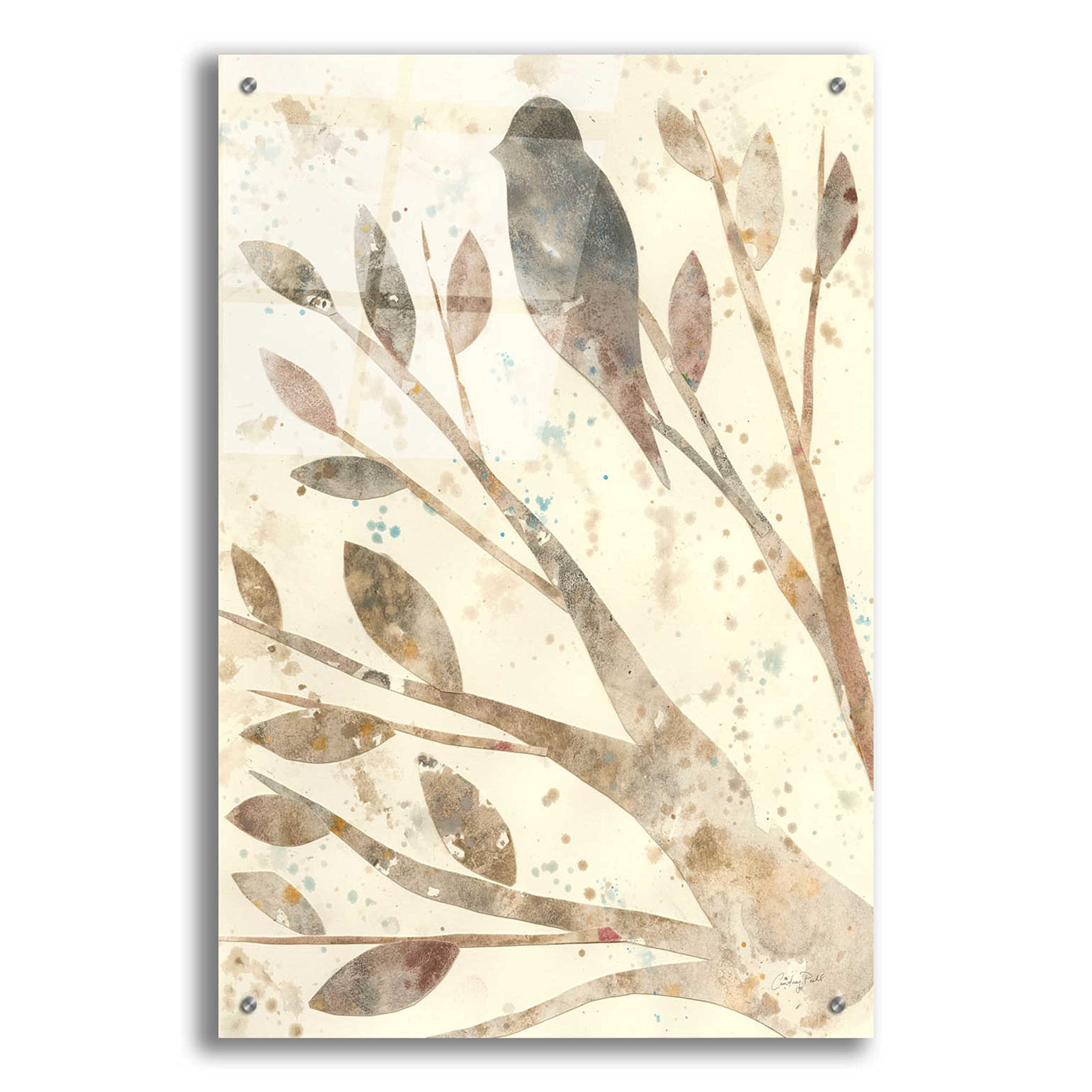 Natural Wonder II by Courtney Prahl - Stunning Acrylic Glass Wall Art Print 24x36 Inches - Modern Home Decor for Living Room, Bedroom & Office