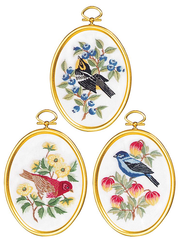 Janlynn Feathers & Flora Cross Stitch Kit - Multi-Colored Embroidery Supplies for DIY Home Decor & Handmade Gifts | Perfect for Beginners & Craft Enthusiasts