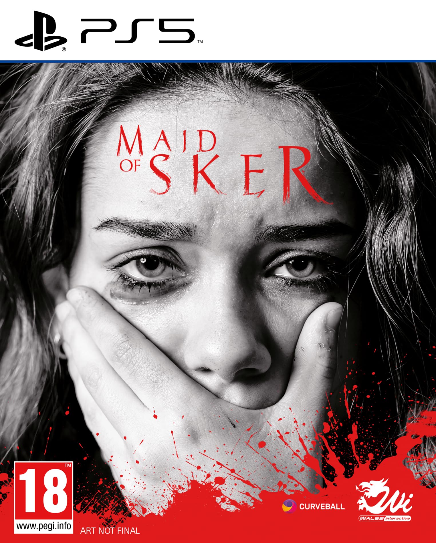 Maid of Sker - PS5 Horror Game | Survival Horror Adventure for PlayStation 5 | Perfect for Halloween Gaming Nights & Thriller Fans