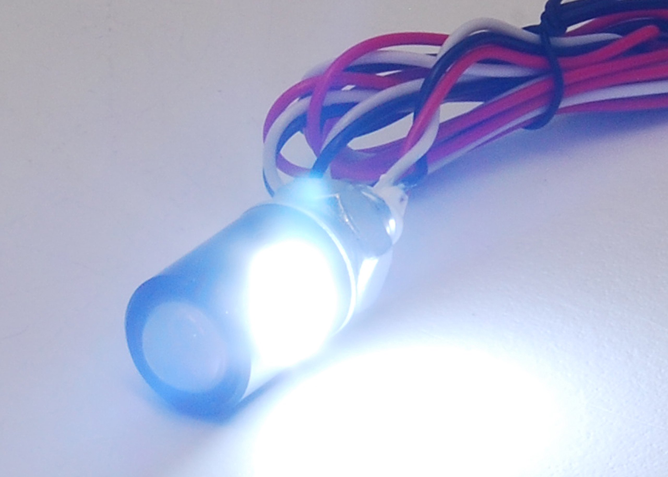 Black Dual LED Tag Lights - Xenon White & Red LED License Plate Bolts for Motorcycle, ATV, Car, 4x4 Off-Road Trucks - Enhance Night Visibility & Custom Styling