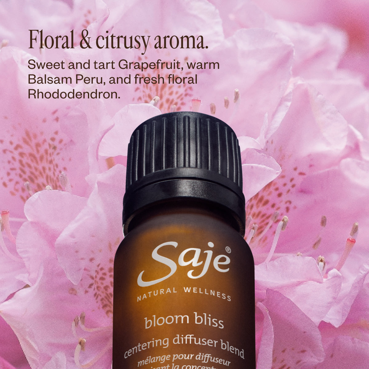 Bloom Bliss Centering Essential Oil Diffuser Blend - Relaxing Aromatherapy for Stress Relief & Meditation at Home