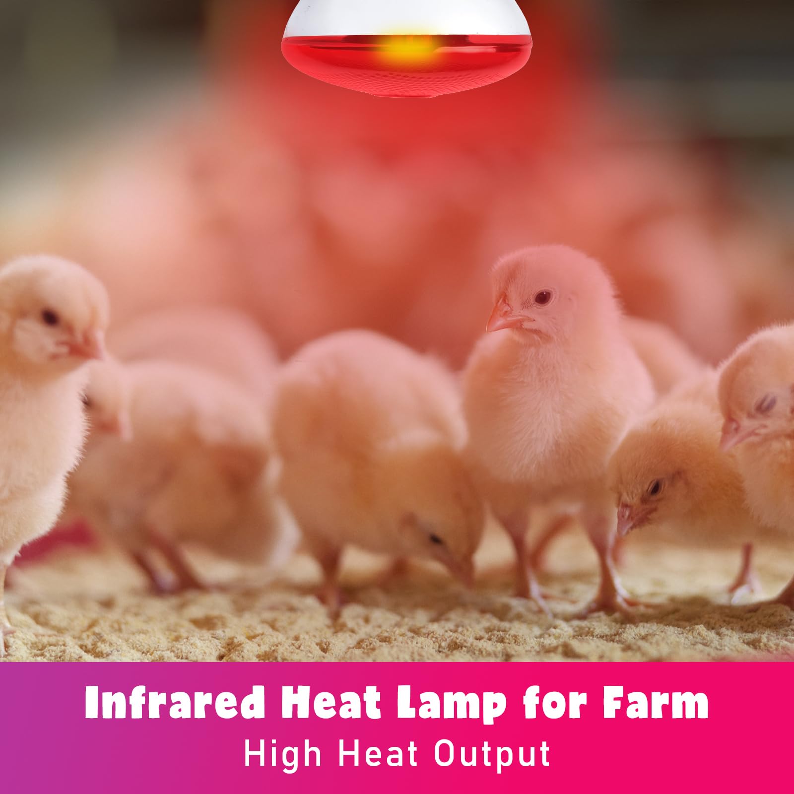 LUCKY HERP 250W Red Infrared Heat Lamp Bulb for Chicken Coop Brooder, Reptile Terrarium & Pet Warming - 1 Pack - Ideal for Poultry, Reptiles, and Food Service Heating