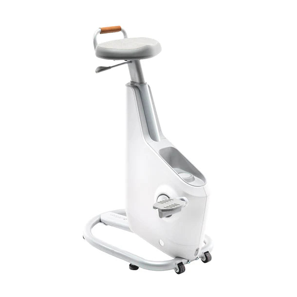 LifeSpan Ampera Bike - Foldable Electric Bicycle for Adults with 350W Motor, 20MPH & 40-Mile Range - Perfect for Commuting, City Riding & Outdoor Adventures