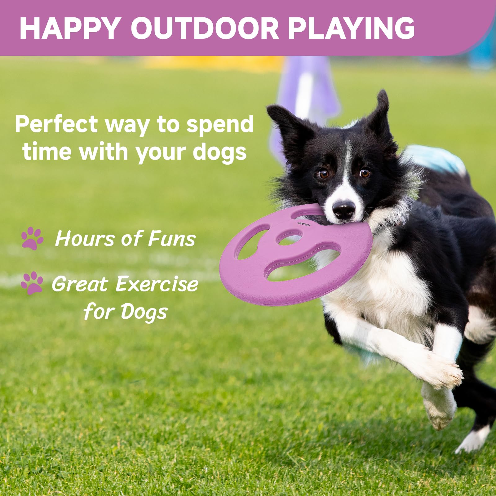 Natural Rubber Dog Toy for Fetch & Outdoor Play - 8.6 Inch Violet Flying Disc, Durable Interactive Chew Toy for Medium & Large Dogs - Perfect for Beach, Park & Backyard Games