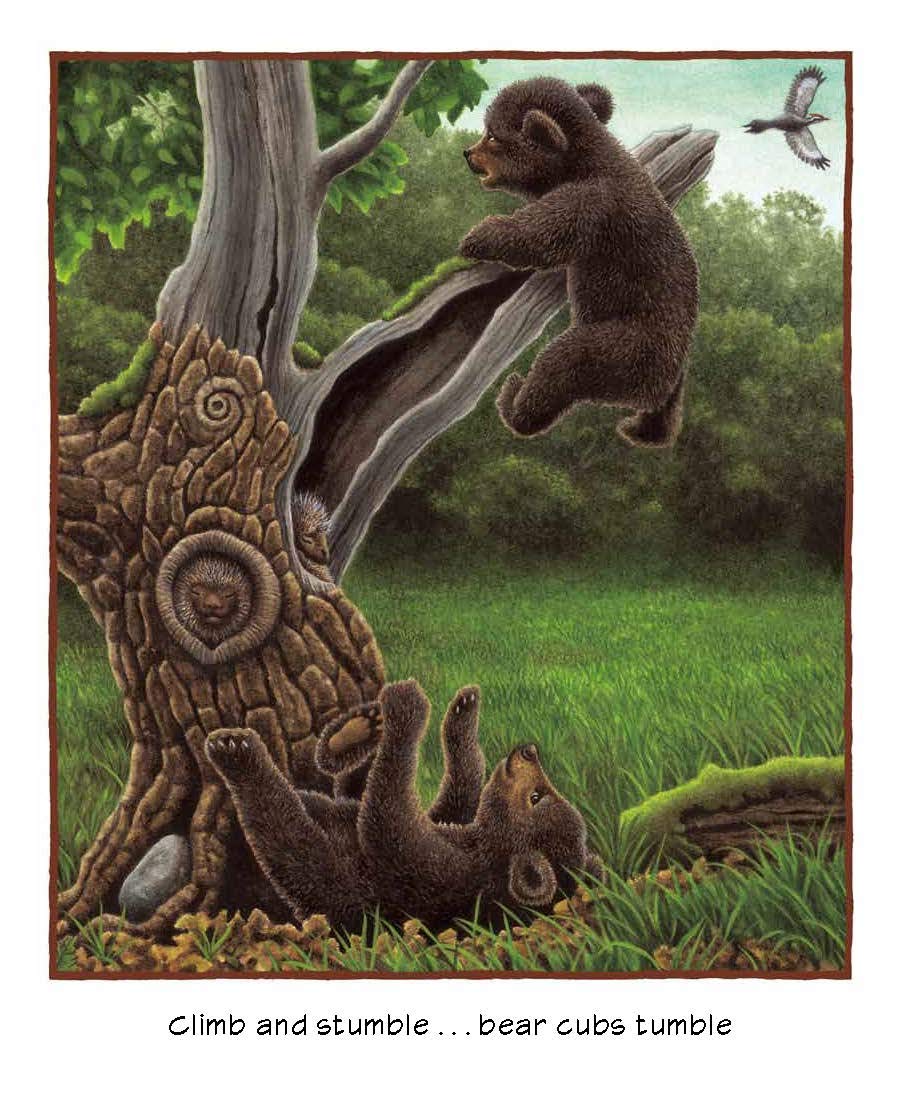 Forest Bright, Forest Night - Beautiful Nature-Themed Wall Art for Home & Office Decor | Perfect for Living Rooms, Bedrooms, and Nurseries