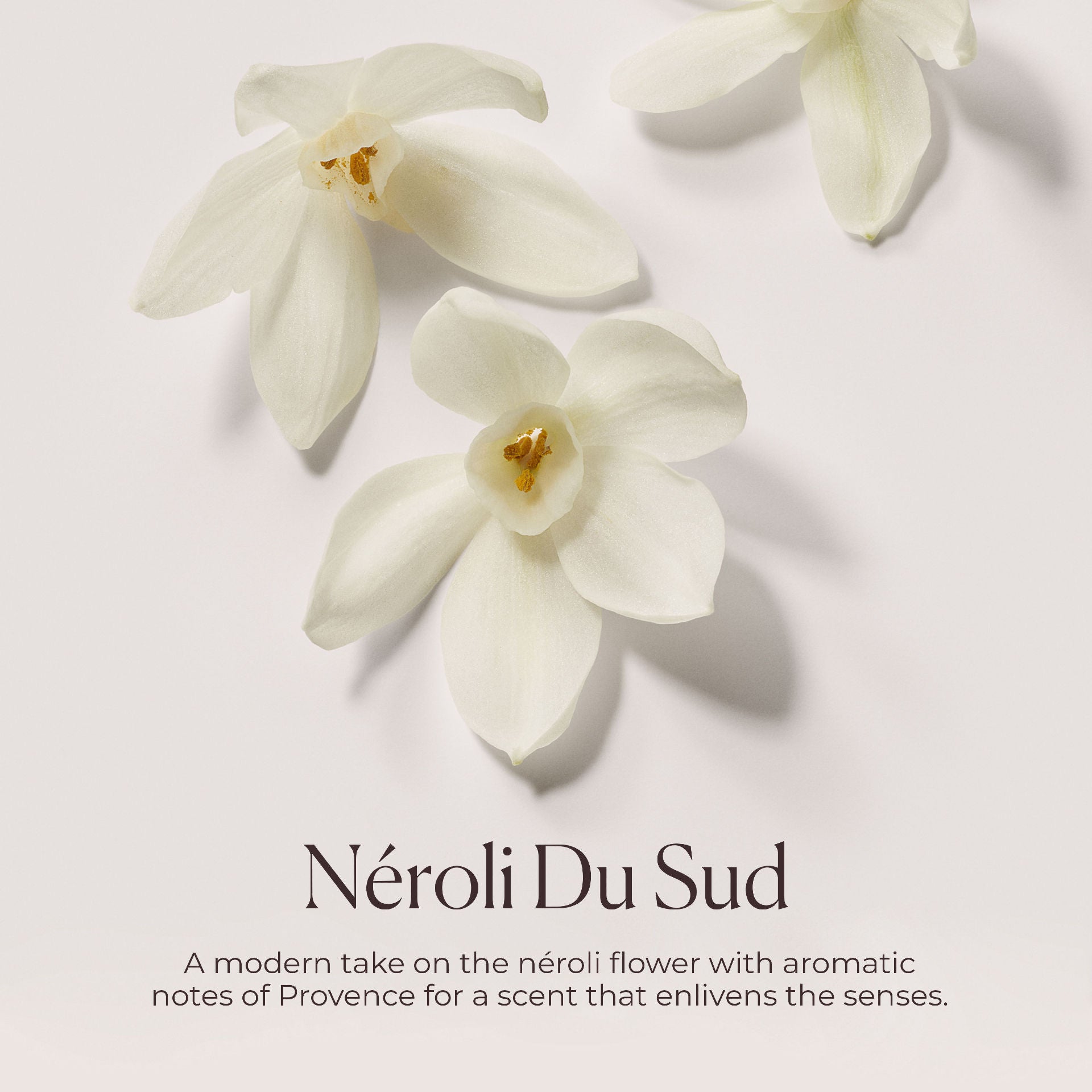 Néroli du Sud Hydrating Body Wash - Moisturizing & Nourishing Shower Gel for Dry Skin | Perfect for Daily Use & Spa-Like Relaxation