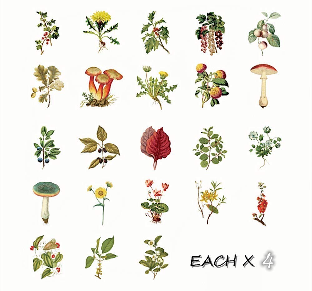 Aesthetic Plant Stickers Set - 92PC Cute Flower & Seasonal Wild Plant Decals for Scrapbooking, Fall Leaves Stickers for Laptop, Phone Case, Kindle, Journal, Planner, DIY Crafts - Perfect for Home Office, School Supplies & Gift Wrapping