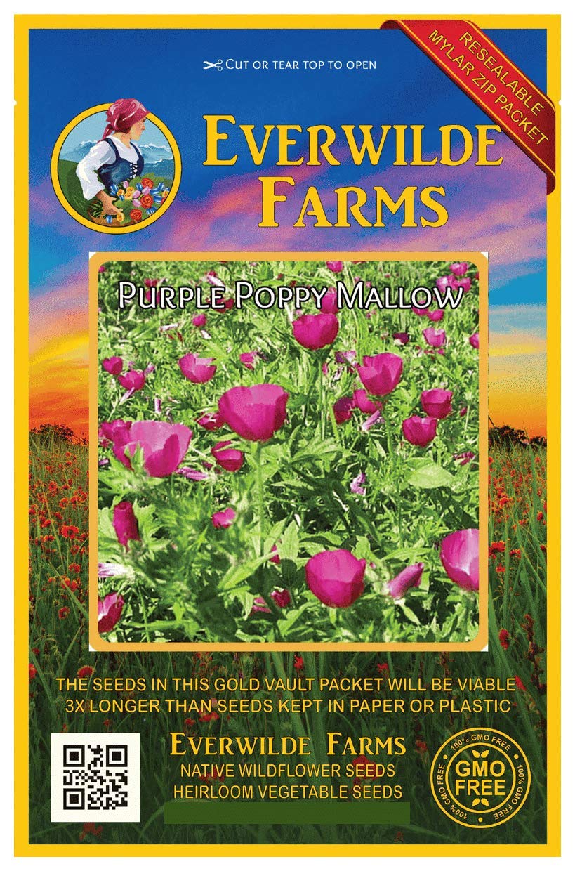 Everwilde Farms - 15 Purple Poppy Mallow Native Wildflower Seeds - Gold Vault Jumbo Seed Packet for Garden, Landscaping & Pollinator-Friendly Planting