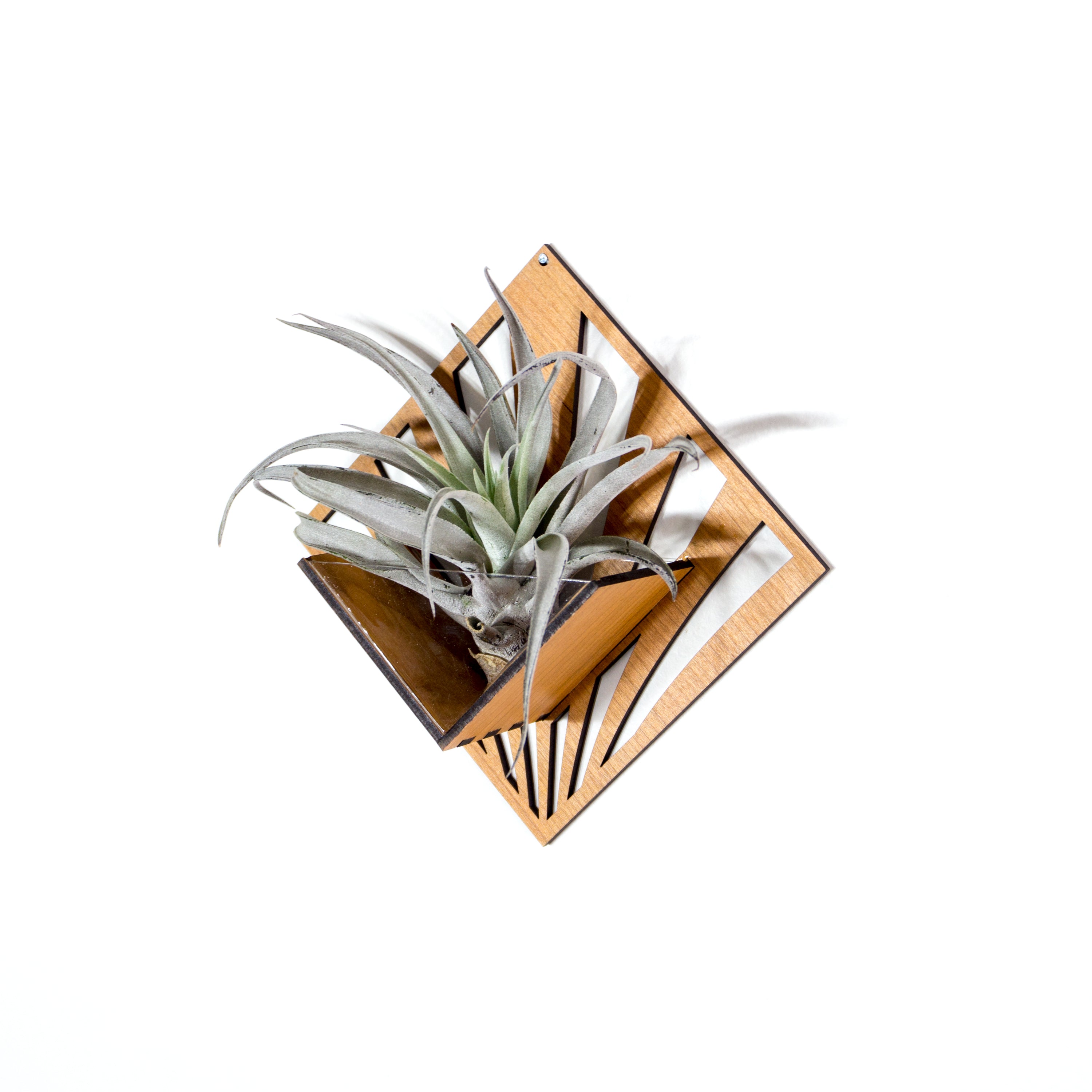 Handmade Wooden Quadrate Wall Planter Set of 2 - Air Plant Holder & Mounted Hanger Display for Tillandsia | Rustic Home Decor, Unique Plant Lover Gift Idea for Living Room, Bedroom or Office Decor