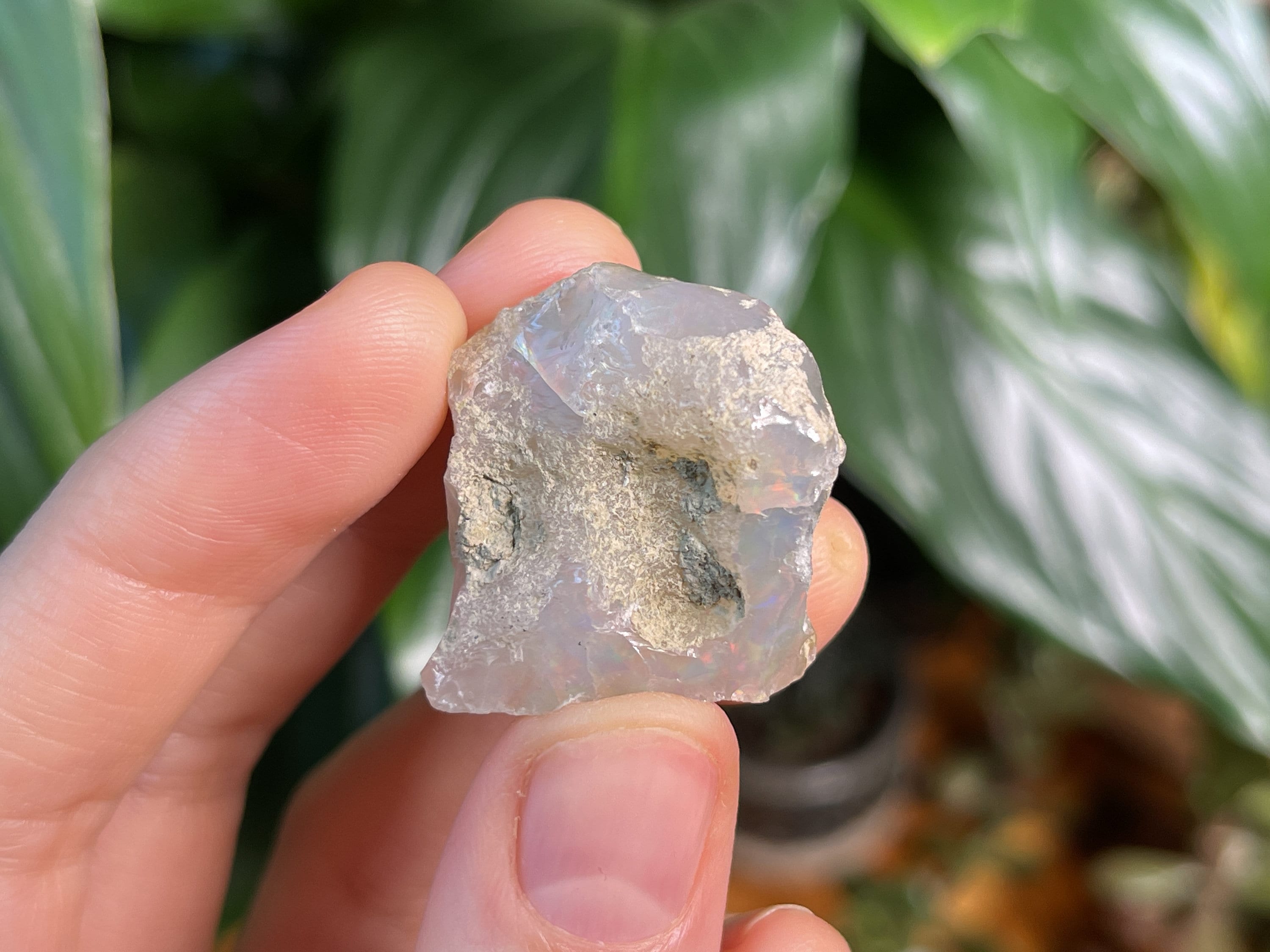 4A Cutting Grade Welo Opal Raw Crystal - October Birthstone for Jewelry Making & Gemstone Collecting | Natural Ethiopian Opal Specimen 43437