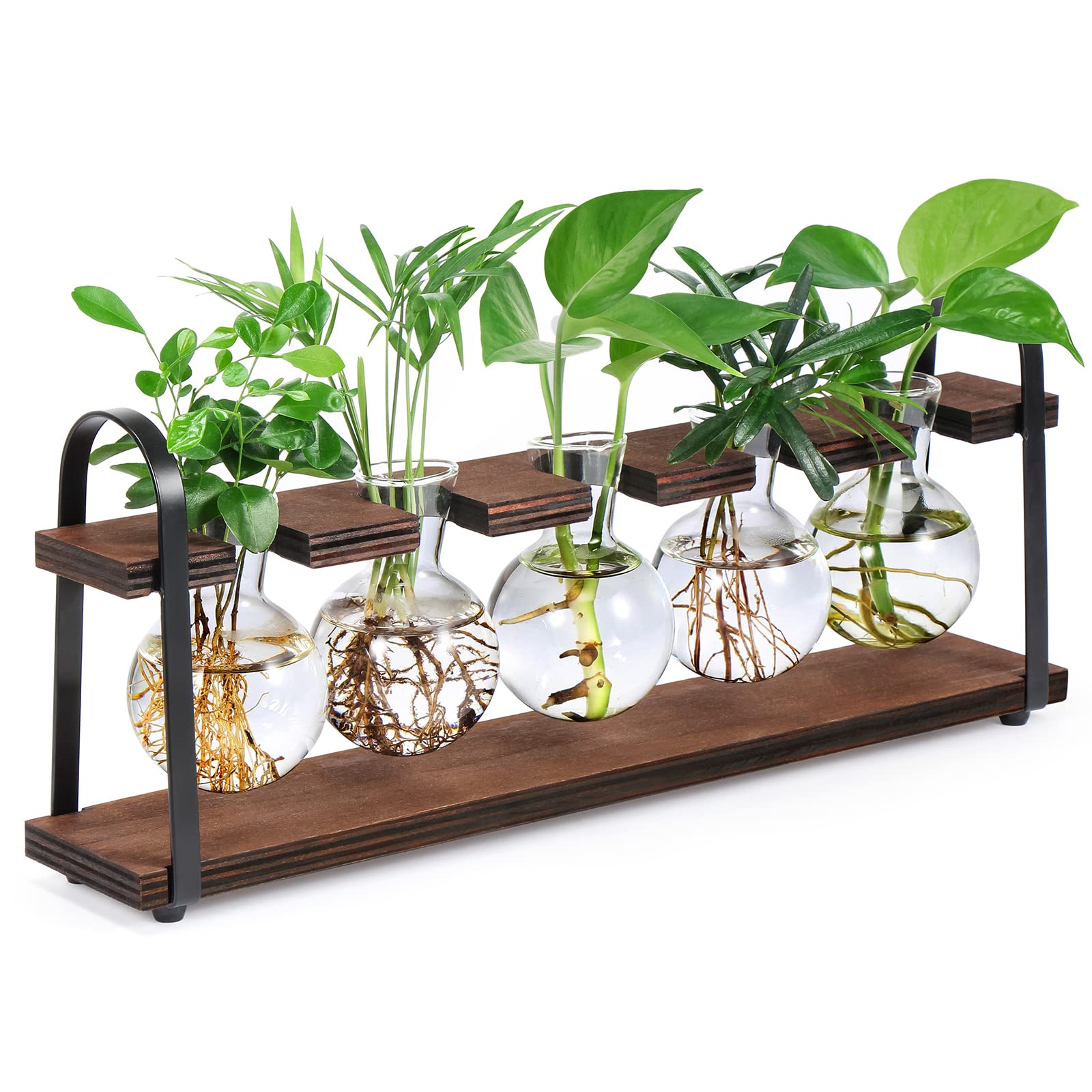 THYGIFTREE Plant Propagation Stations with Wooden Stand - Retro Glass Terrarium Bulb Vase for Indoor Hydroponic Flowers | Desktop Planter for Home Office Decor, Housewarming Gift for Plant Lovers (Perfect for Windowsills, Desks & Shelf Displays)