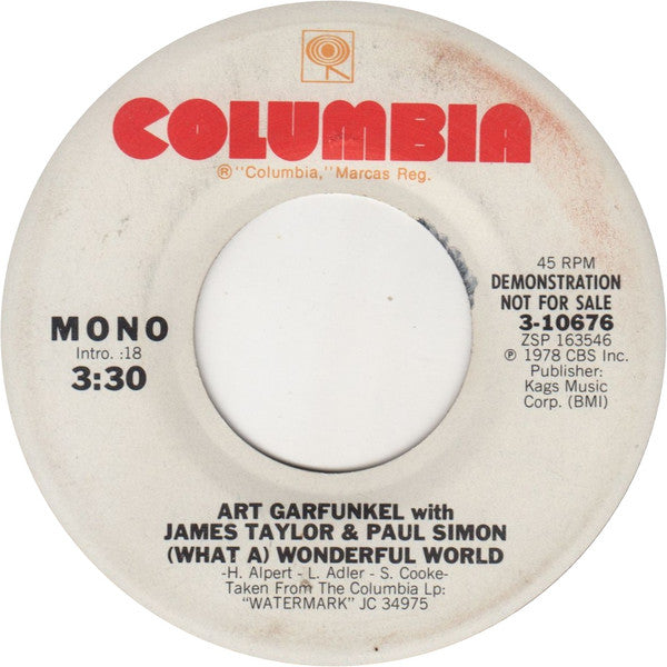 Art Garfunkel with James Taylor & Paul Simon - (What A) Wonderful World 7