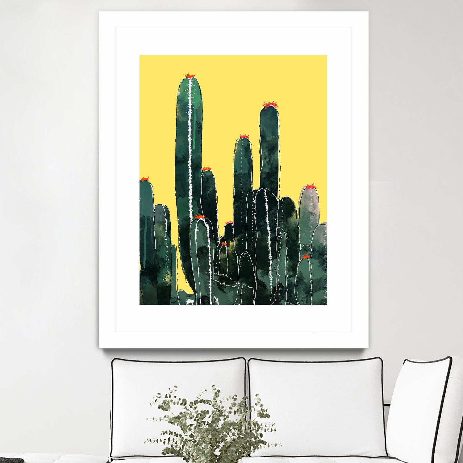 Buy Cactus Plants Online - Live Indoor & Outdoor Succulents for Home & Office Decor | Perfect for Desktops, Gardens & Gifts