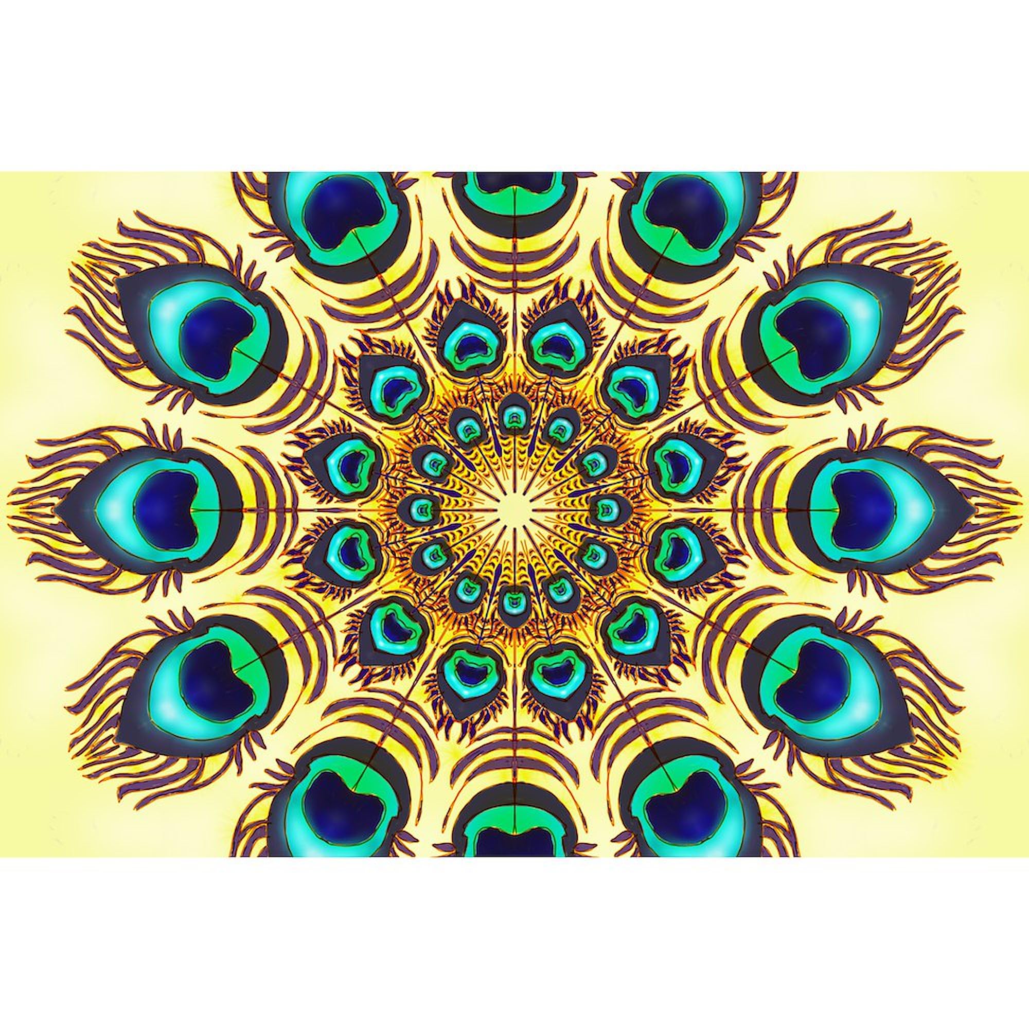 Peacock Feathers Sticker for Cars & Laptops - Oval Bumper Decal
