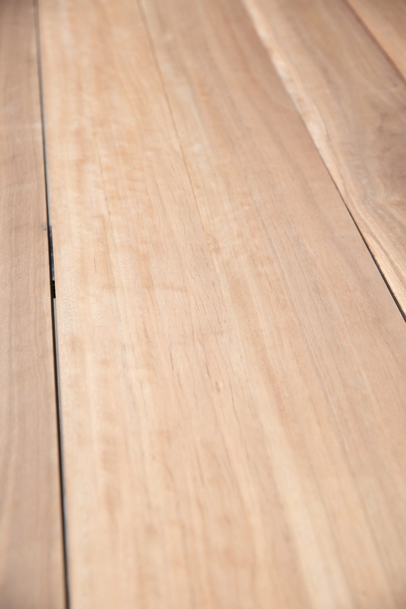 Premium Kiln-Dried Queensland Spotted Gum Timber - 200x25mm Rough Sawn Joinery Wood for Furniture & Flooring | Standard Grade Hardwood for DIY Projects & Home Renovations