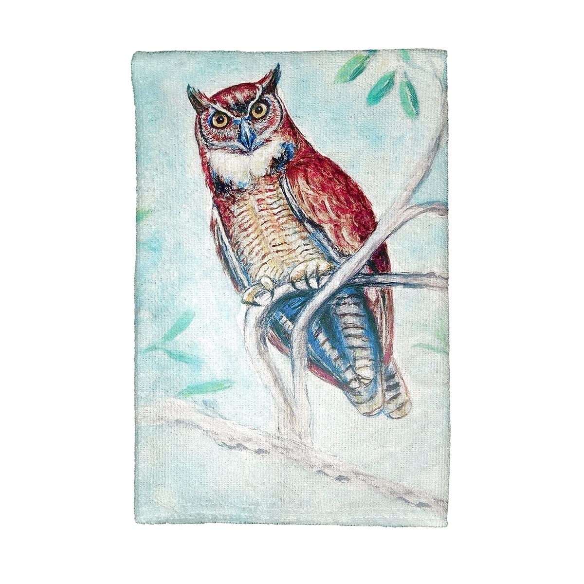 Betsy Drake KT732 Teal Owl Printed Kitchen Towel Set - Absorbent & Decorative Dish Towels for Cooking, Baking & Home Decor