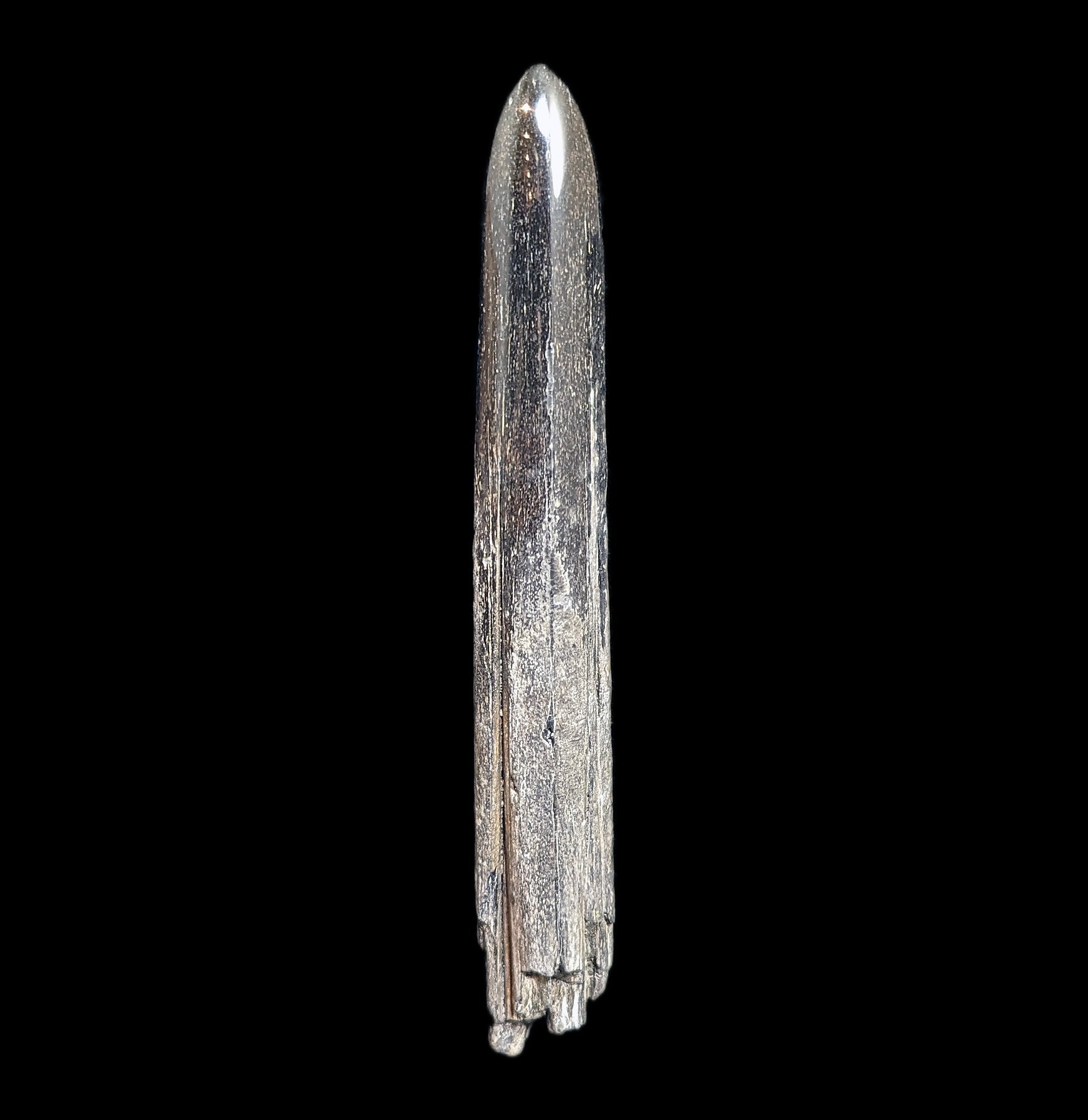 Authentic Fossilized Swordfish Rostrum Specimen #3 - Rare Marine Fossil for Collectors, Home Decor & Educational Display