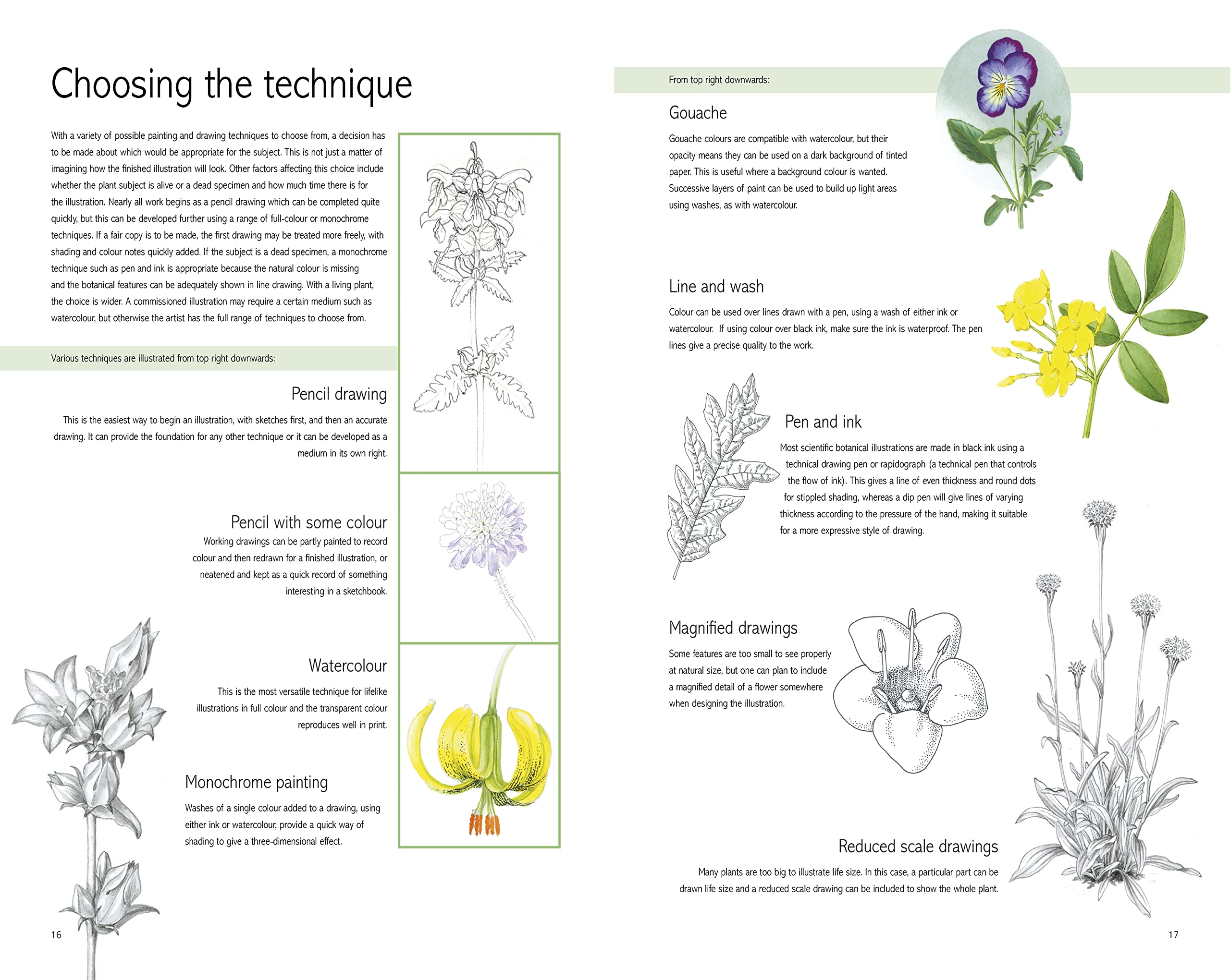 The Kew Book of Botanical Illustration: A Guide to Drawing and Painting Plants - Perfect for Artists, Gardeners, and Nature Enthusiasts