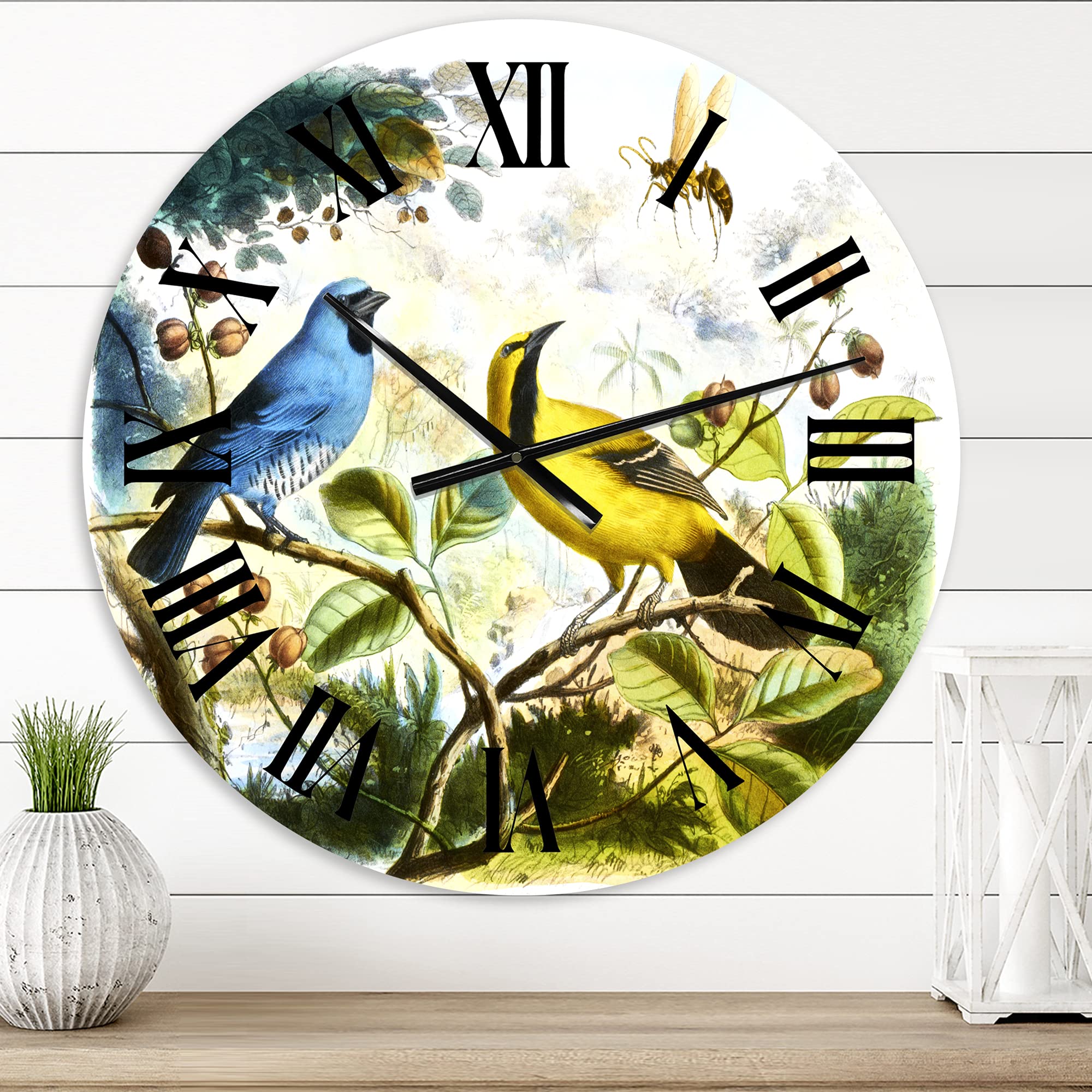 DesignQ Traditional Large Wall Clock - Blue and Yellow Wild Bird Design for Home & Office Decor | Silent Non-Ticking Clock for Living Room, Bedroom, Kitchen
